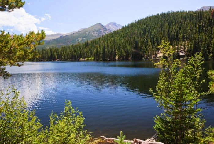 9 Best Hikes in the Bear Lake Corridor, Rocky Mountain National Park ...