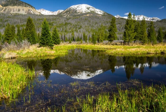 Beaver Ponds on Trail Ridge Road