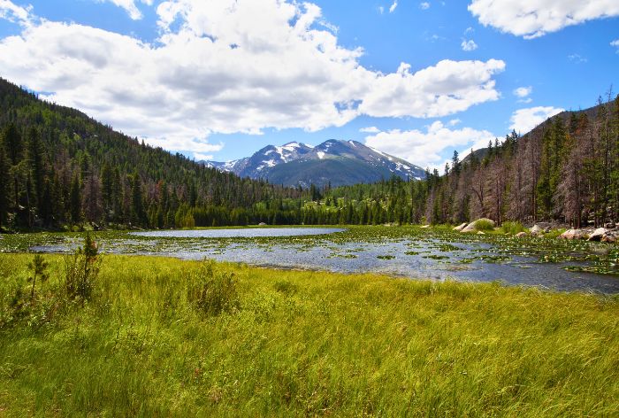 Cub Lake Trail