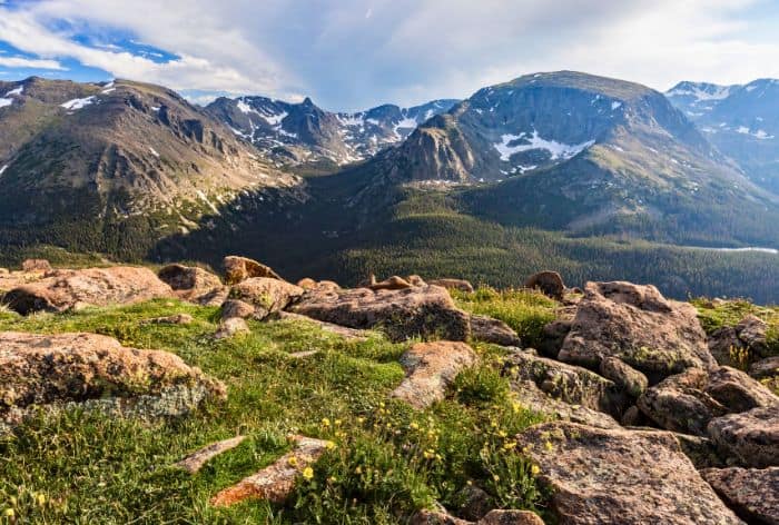 Forest Canyon Overlook on Trail Ridge Road