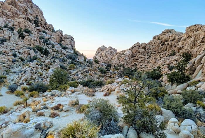 Hidden Valley in Joshua Tree