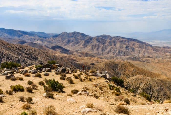 View from Keys View in Joshua Tree