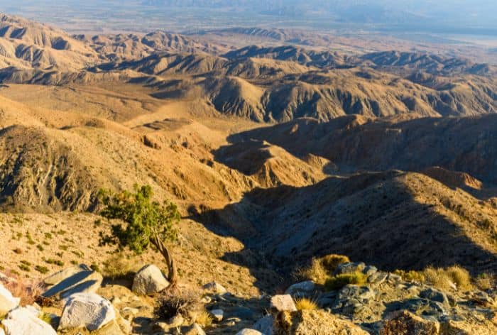 View from Keys View in Joshua Tree