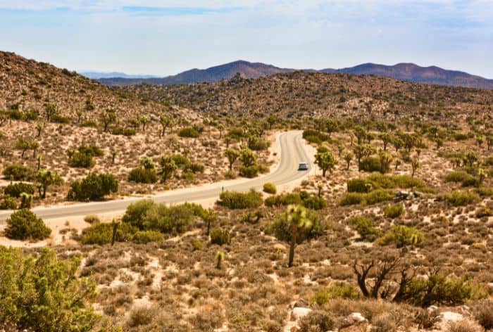 Keys View in Joshua Tree