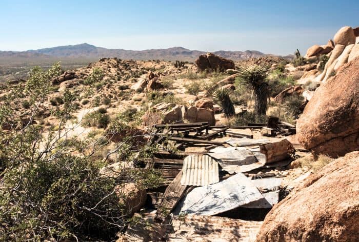 Best Hikes in Joshua Tree