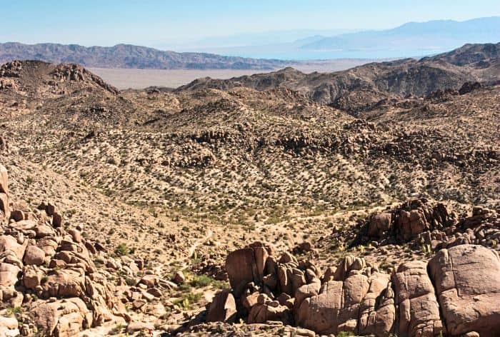 Mastodon Peak Loop Trail