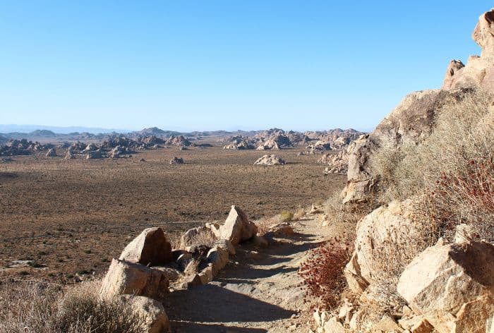 Best Hikes in Joshua Tree