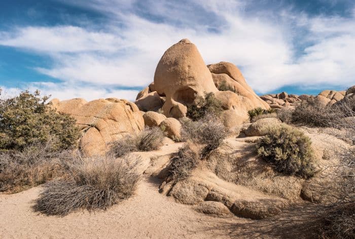 Skull Rock Trail in Joshua Tree