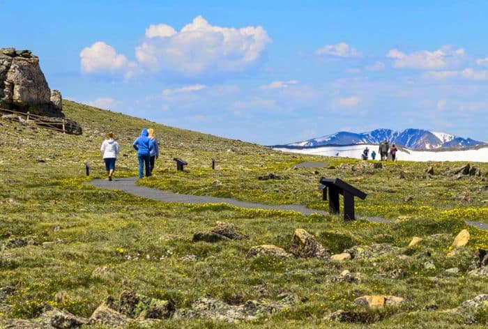 Tundra Communities Trail on Trail Ridge Road