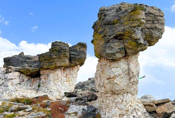 Best Stops on Trail Ridge Road