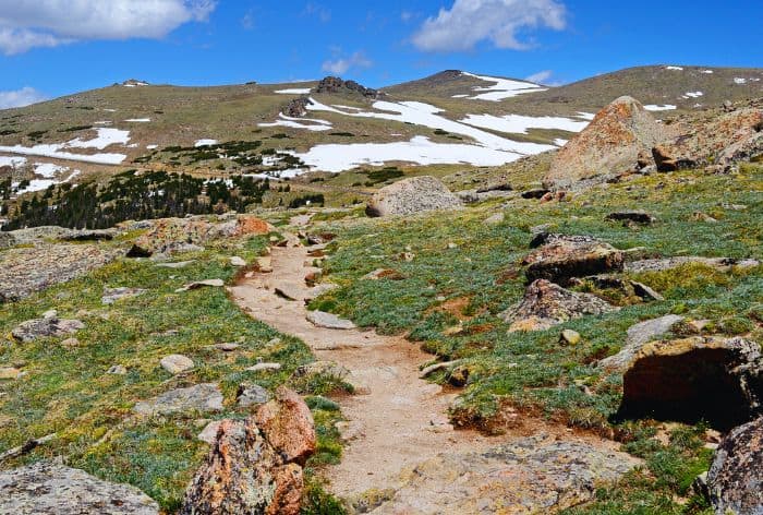 Ute Trail East on Trail Ridge Road