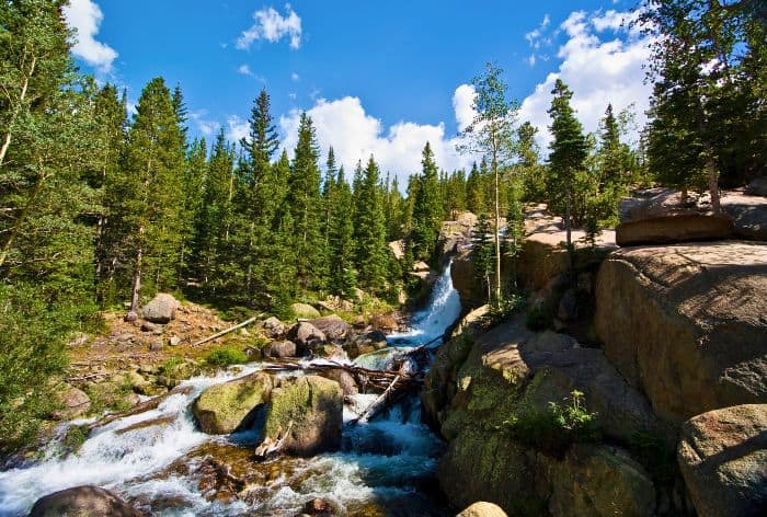 Alberta Falls in Rocky Mountain National Park