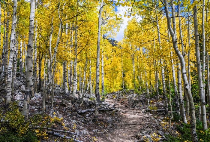 Trail to Crater Lake