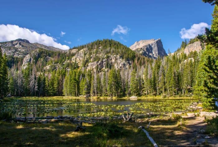 Nymph Lake in Rocky Mountain