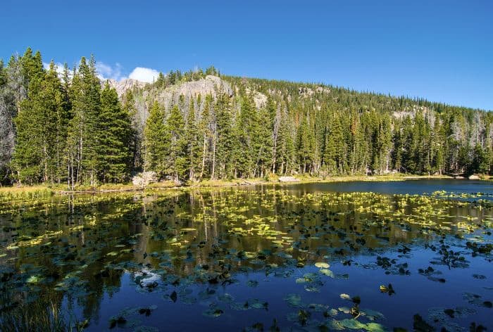 Nymph Lake in Rocky Mountain