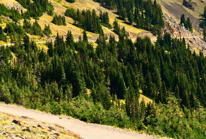 Old Fall River Road in Rocky Mountain National Park