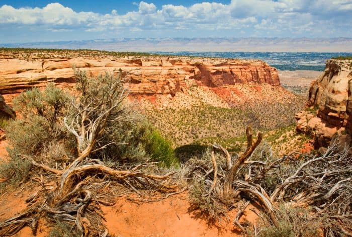 Red Canyon in Colorado National Monument